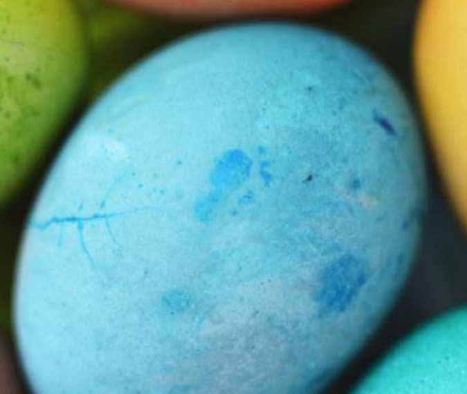 eggs
